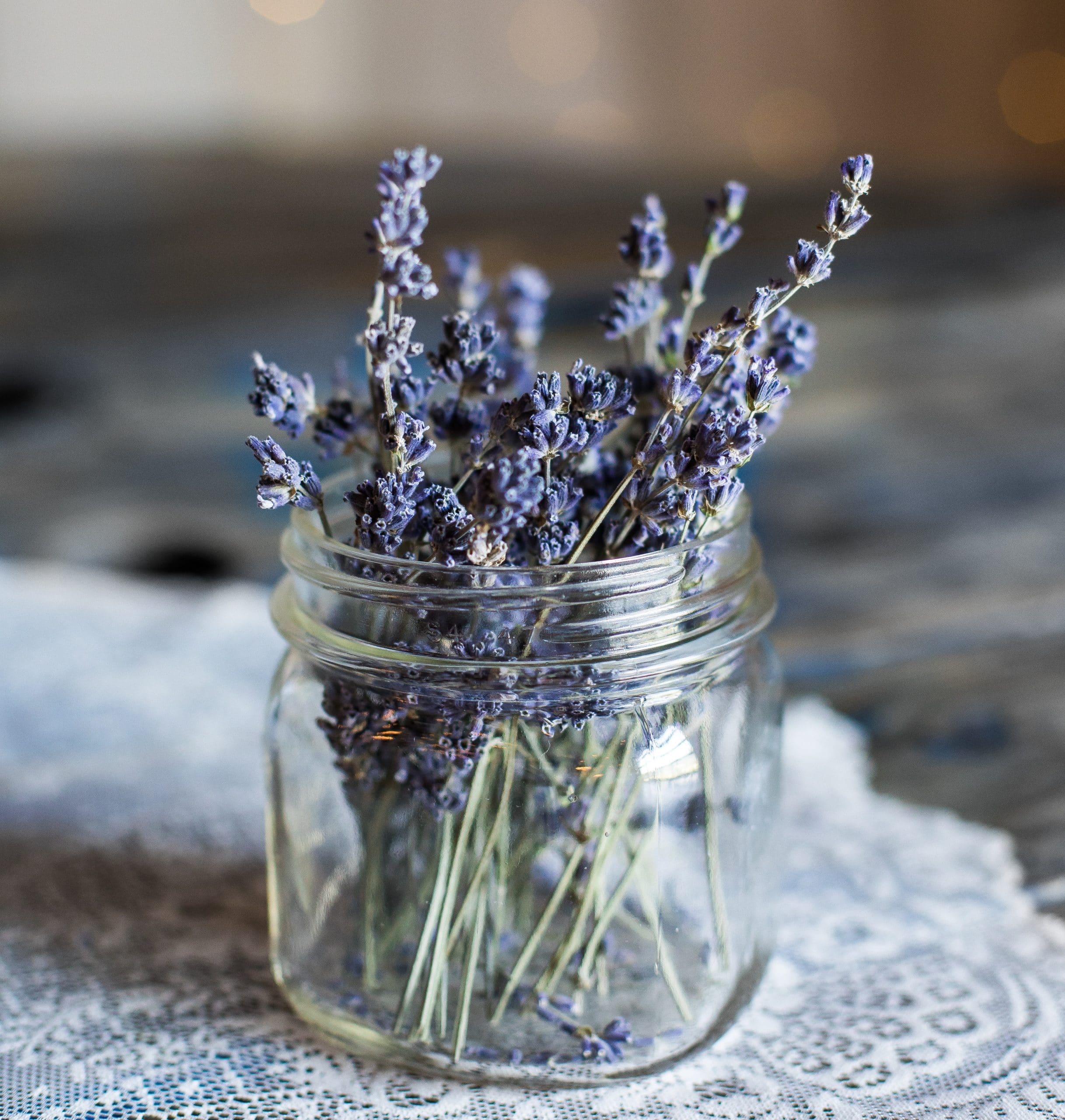 lavendel
