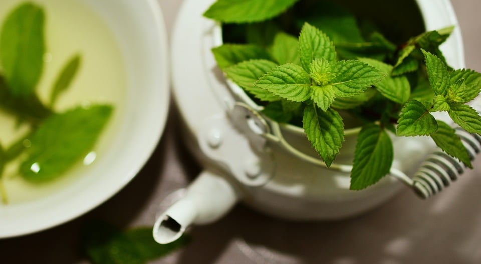 peppermint-2496361 960 720